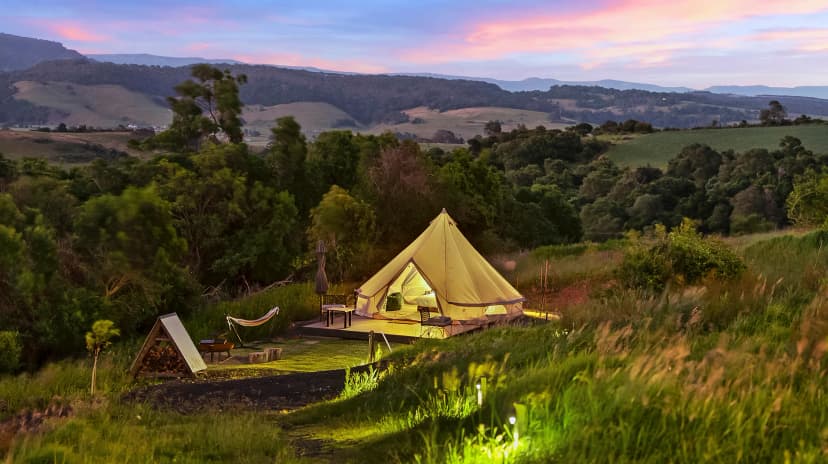 Cicada Luxury Camping 12